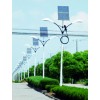 Solar Street Light