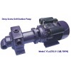 Deep Screw Self Suction Pumps
