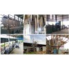 Cassava starch making machine
