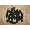 sea cucumber high quality
