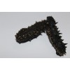 sea cucumber from China