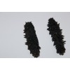 China sea cucumber