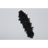 China sea cucumber