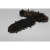 sea cucumber from China