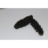 sea cucumber