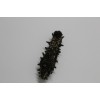 good sea cucumber from China