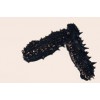 good trepang sea cucumber