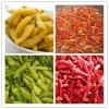 Chaotian chili