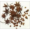 Illicium verum