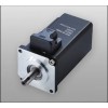 Brushless DC motor BMP4524