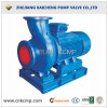 Raw water pump