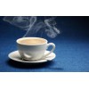 H40 non dairy creamer