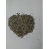 Stainless steel shot