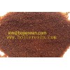 Biodiesel purification resin