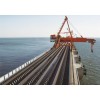 Steel cord conveyor belt
