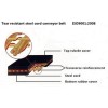 Anti-tear ST conveyor belt