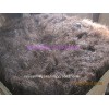 horse hair