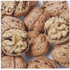 walnut kernel / walnut