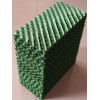 Cellulose Pad