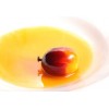 Cooking Oil Palm