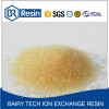 General ion exchange resin