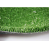 Leisure Artificial Grass