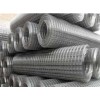 Welded Wire Mesh