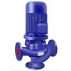 GW vertical sewage pump