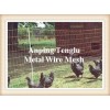 Chicken Wire Netting