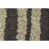 Black pepper and white pepper