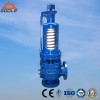 A48SB safety valve