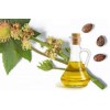 Manufacturer & Exporter