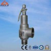 Stainless Steel Safety Valve