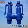Male Thread Safety Valve