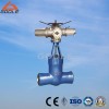 Power Station Valve