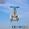 Stainless Jacket Globe Valve