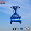 Steam Jacke Gate Valve