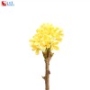 Osmanthus oil soluble flavor