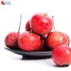 Hawthorn oil soluble flavor