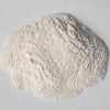 Polyanionic cellulose PAC