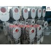 Parallel Sliding Gate Valve