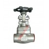Forged Threaded Globe Valve