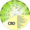 CBD Isolate Crystal & powder