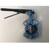 Wafer Type Butterfly Valve