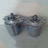 CBW-F2** Series Gear Pump