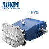 Sewer pump F75