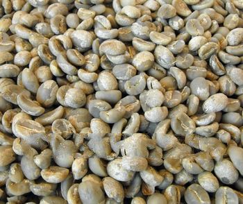 Free shipping! China Yunnan Small Coffee Beans, Arabica A Green Coffee Beans 1000g (2.2lb)
