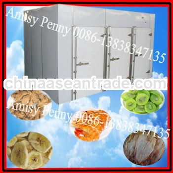 0132 stainless steel mushroom drying oven/hot air circulation mushroom dryer oven 0086-13838347135