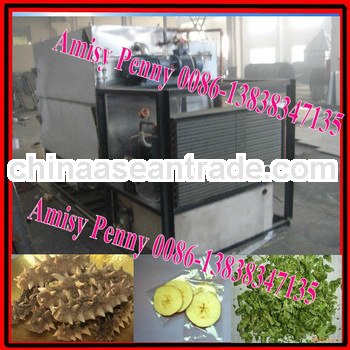 0132 stainless steel vegetable freeze dryer/fruit vacuum freeze drying eequipment for sale/0086-1383