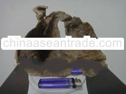 Tomoboo Agarwood